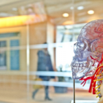 Automate Your Brain for Permanent Success …