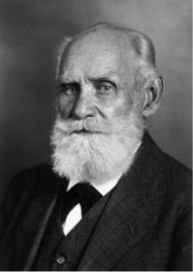 Pavlov for Email Marketers