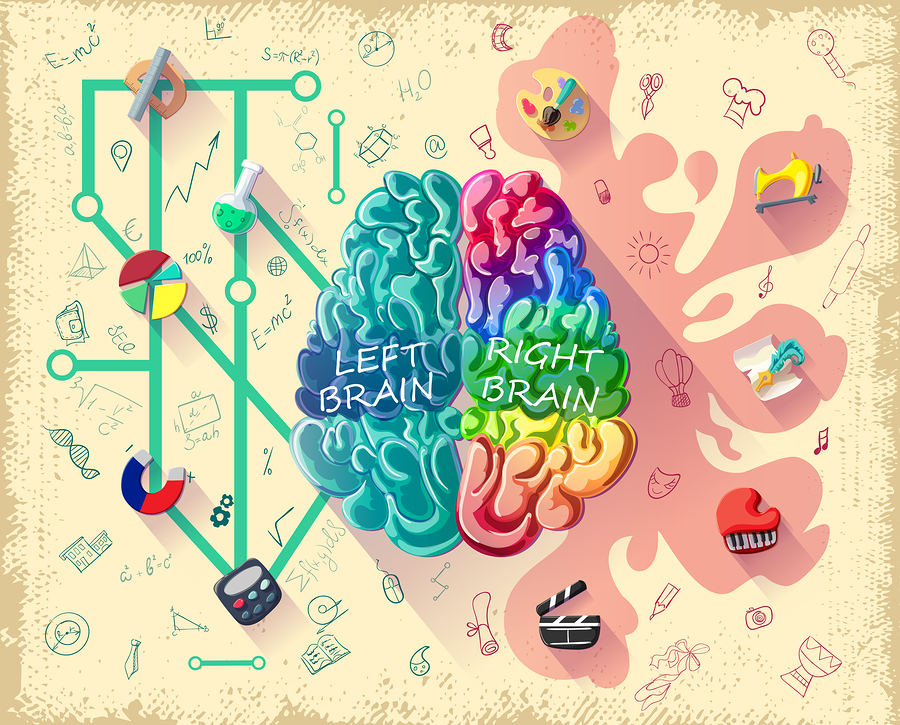 Left Brain, Right Brain