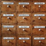 600 Million Letters Mailed: Best Copywriter + Best Campaign… Ever!